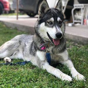 Meet your Posher, Jorge